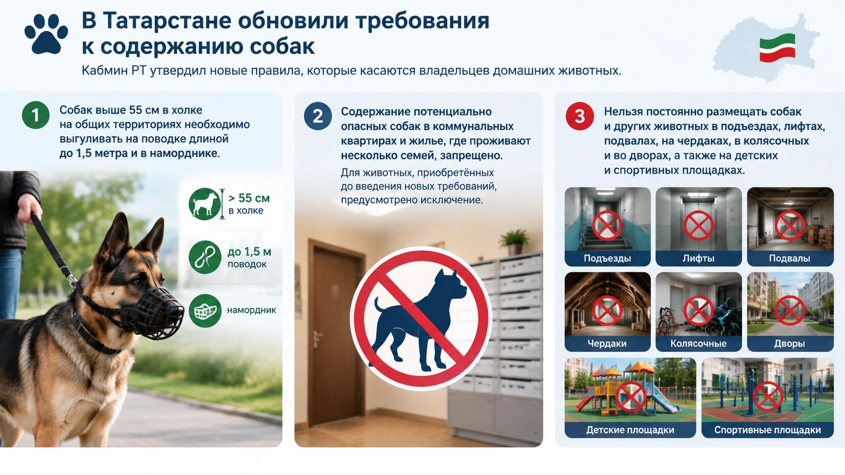 Правила содержания домашних животных 