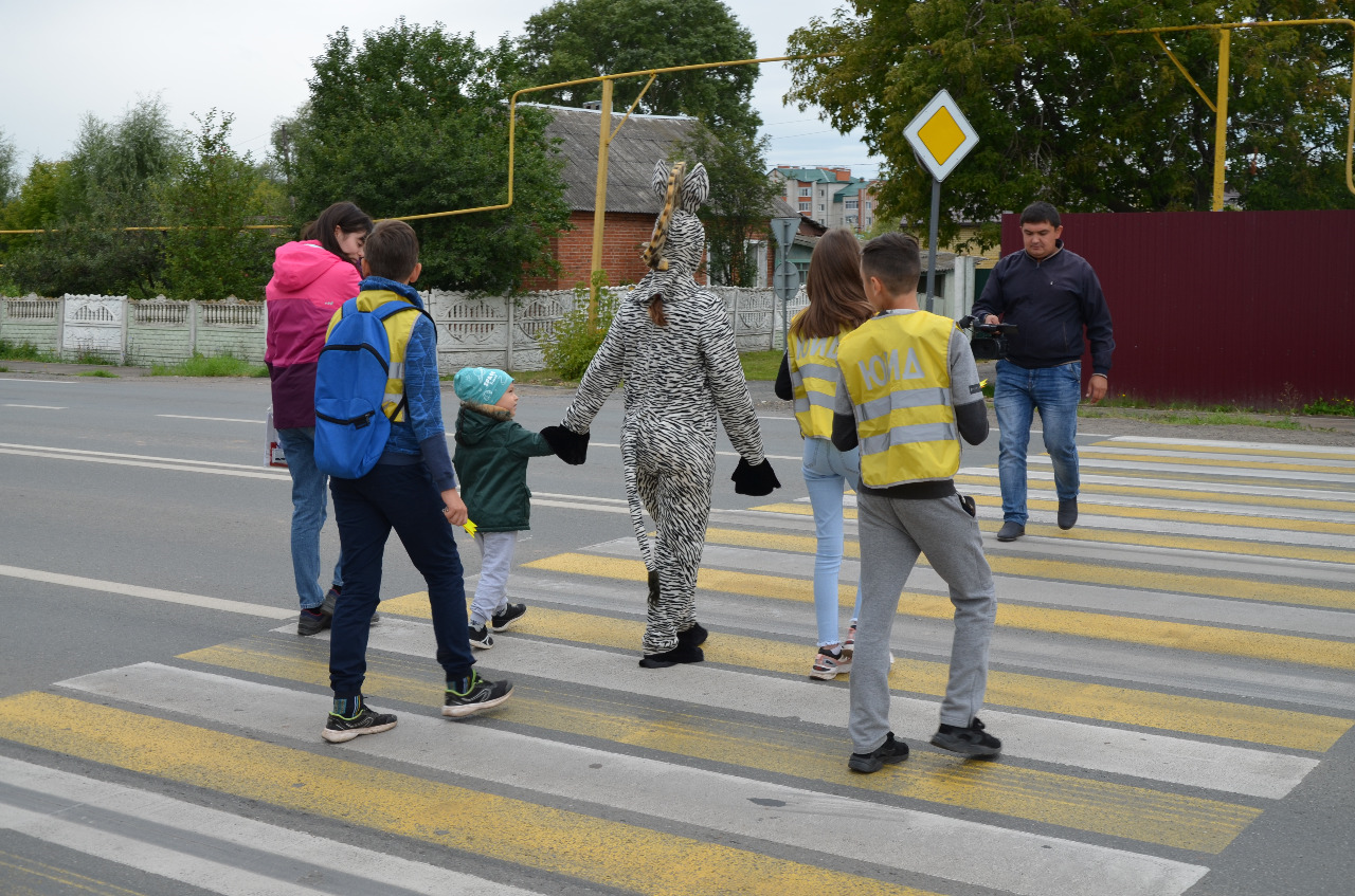 В Высокогорском районе прошла акция «Безопасная зебра»