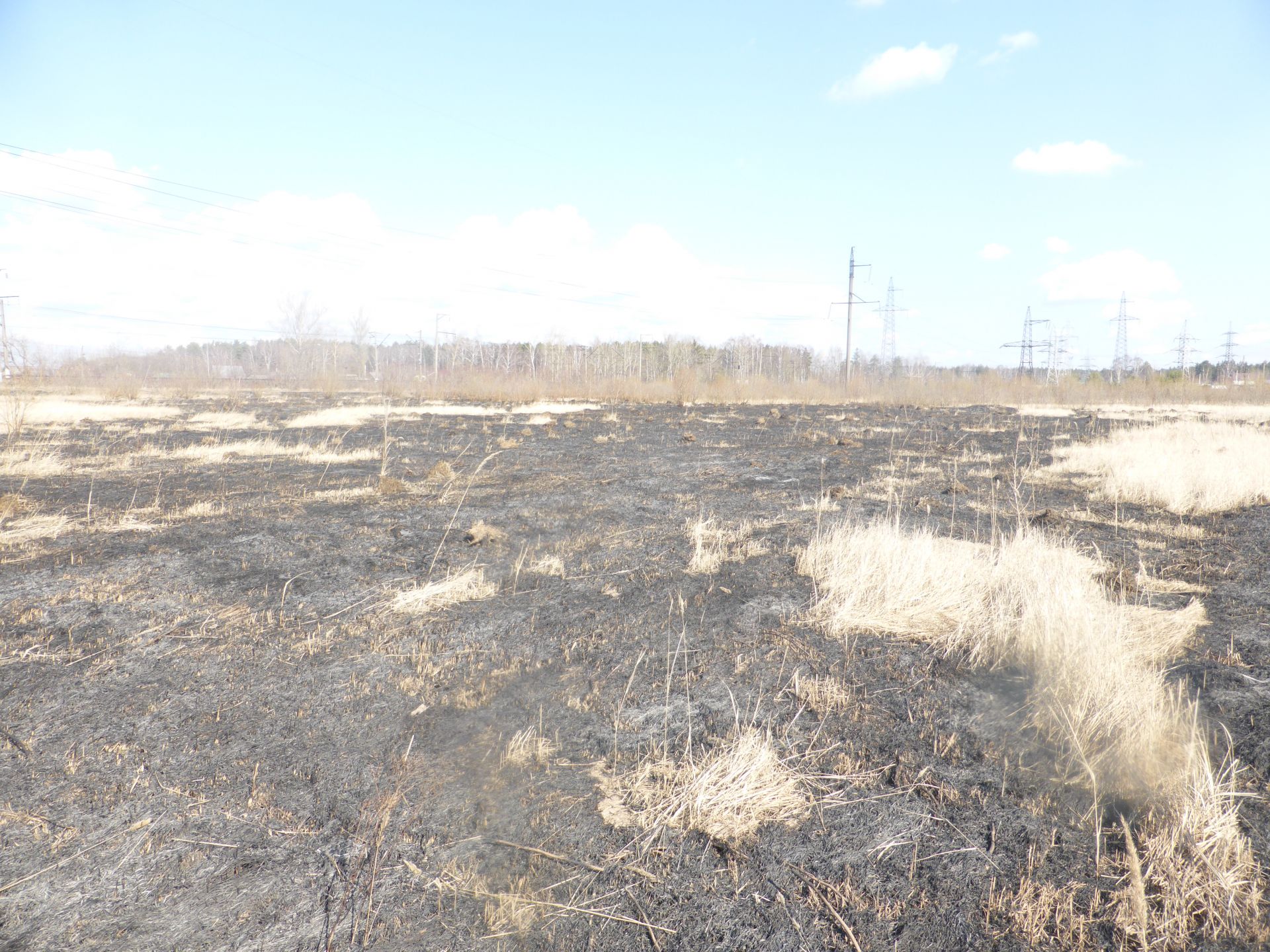 В Высокогорском районе зафиксировано горение сухой травы в Киндери и Усадах