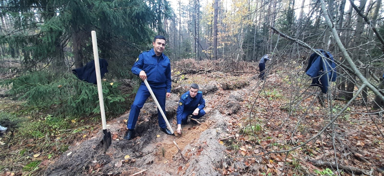 Посадка деревьев прошла в рамках всероссийской акции «Сохраним лес»