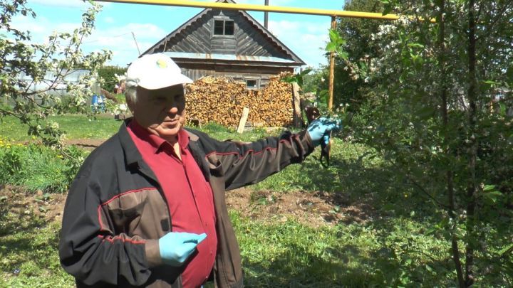 В Татарстане простятся с ученым мирового уровня Анатолием Пухачёвым