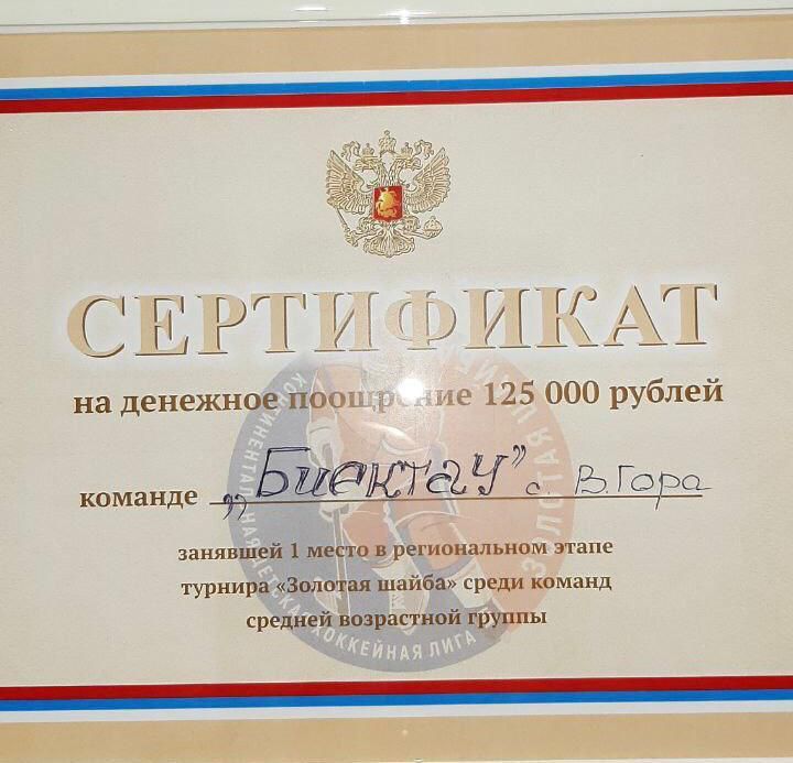 Высокогорские хоккеисты победили в турнире «Золотая шайба»