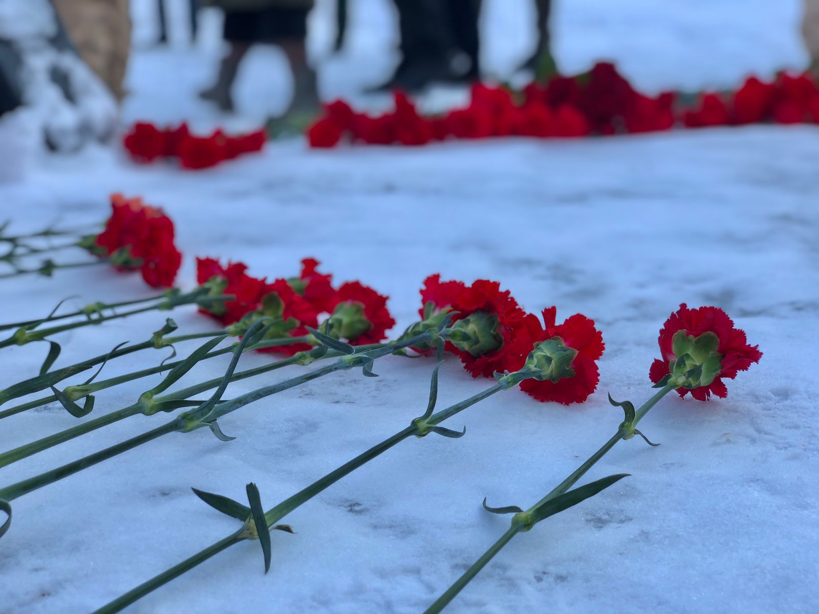 В Высокогорском районе почтили память погибших под Сталинградом