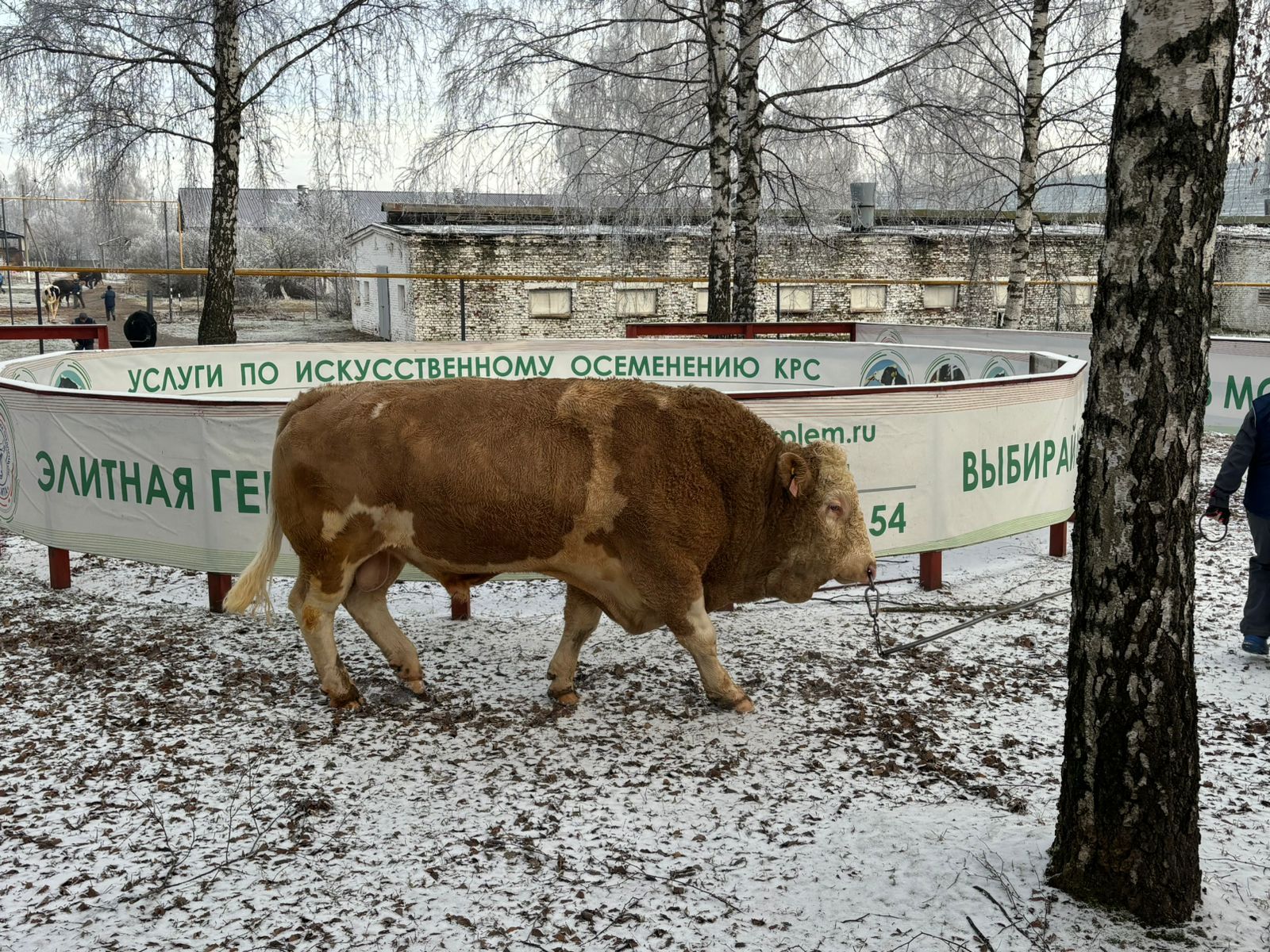 Заместитель председателя правительства Хабаровского края по природным ресурсам и сельскому хозяйству Дарий Тюрин посетил Высокогорский район