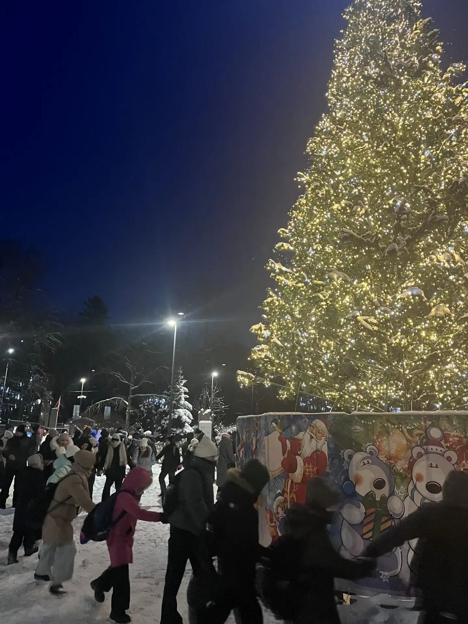 В Парке Победы зажгли новогоднюю ёлку