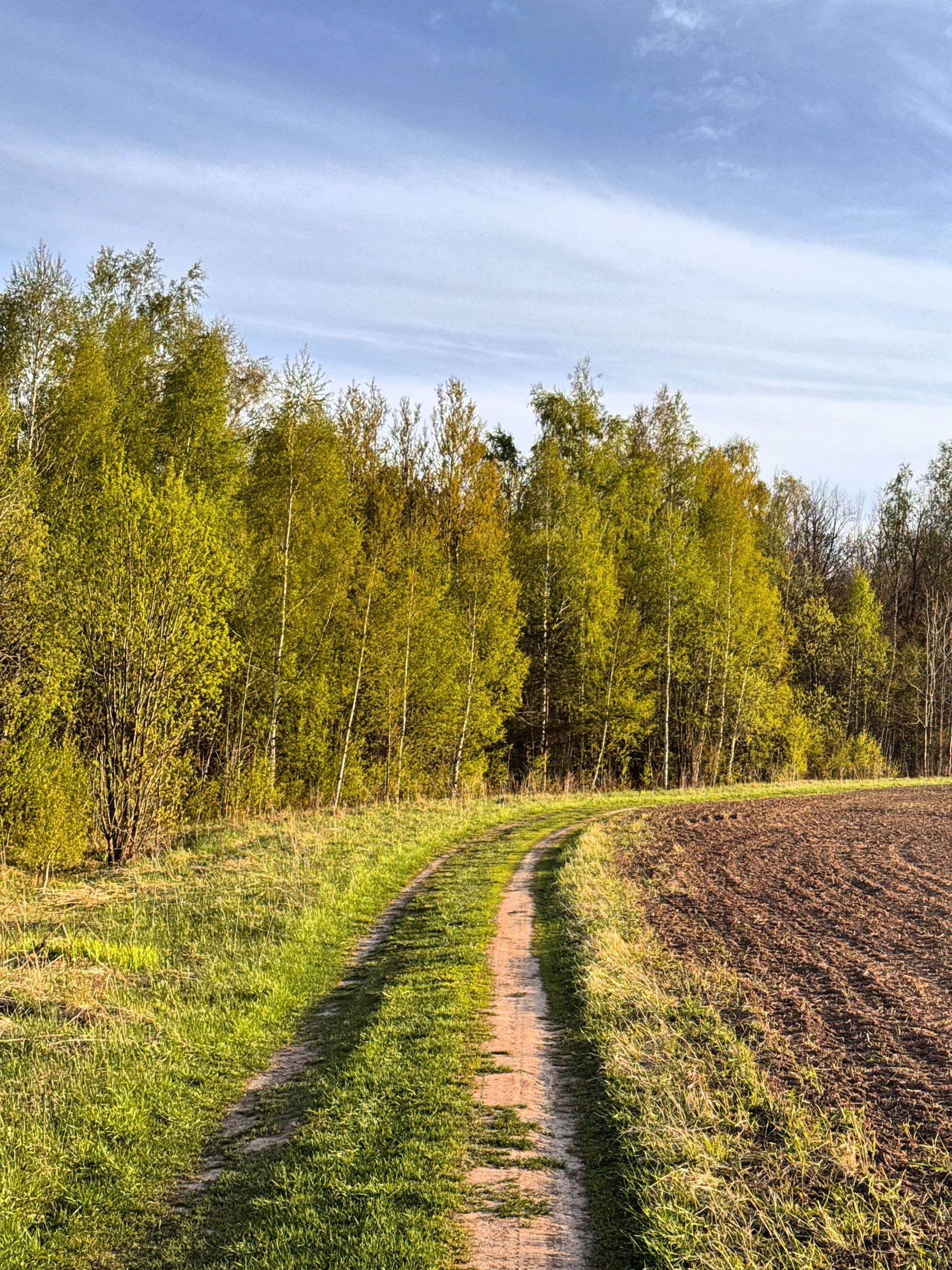 В Татарстане по нацпроекту создали почти 1,8 тыс. км новых противопожарных полос