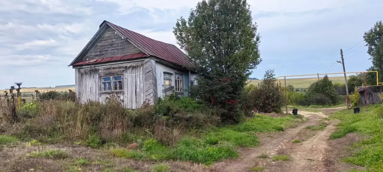 Мельница без крыльев хранит историю исчезающей деревни Чамяк