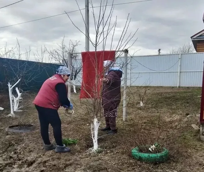 Соцработники помогают навести порядок в домах и дворах
