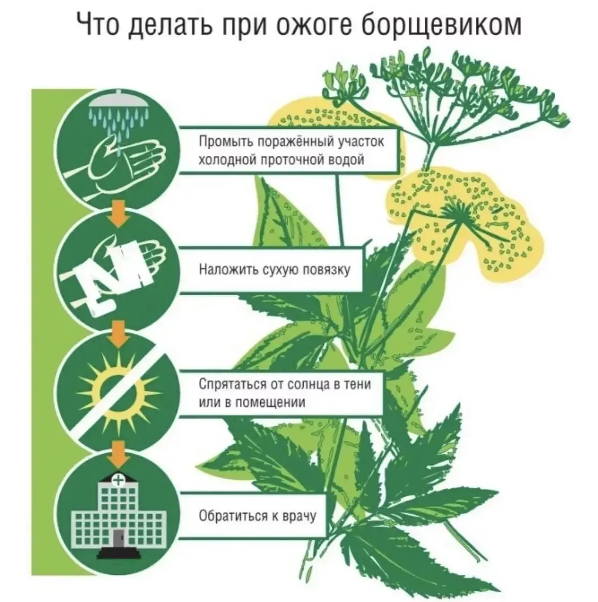 Безопасность детей летом: советы от районного педиатра