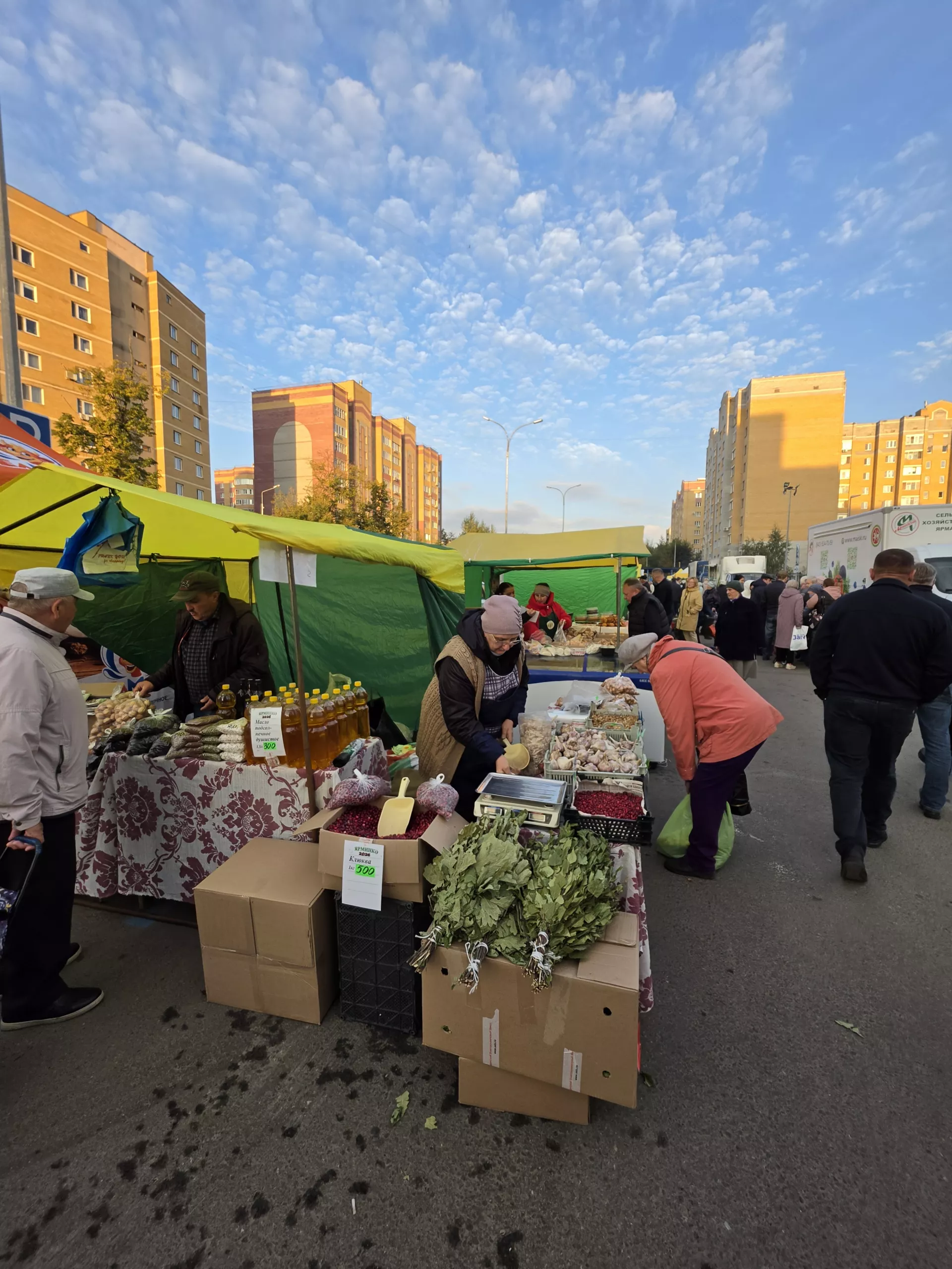 Высокогорский район представил свою продукцию на осенней ярмарке в Казани