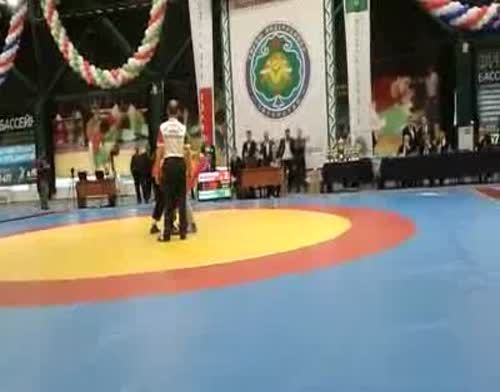 Высокогорский борец Нафис Миннебаев стал чемпионом (ВИДЕО)