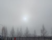 Гороскоп на сегодня