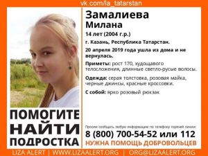 В Татарстане разыскивают 14-летнюю школьницу