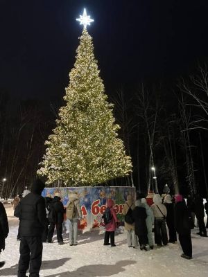 В Парке Победы зажгли новогоднюю ёлку