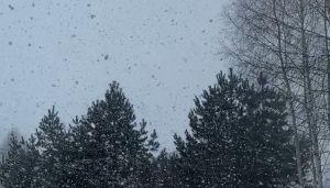 Частые снегопады и похолодание в Татарстане: прогноз на январь 2026