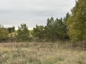В Татарстане потеплеет до +17 градусов без существенных осадков