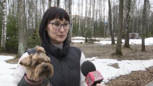 Клещи идут в атаку - как хозяйка йорка из защищает питомца