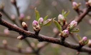 Как метеозависимым помочь себе при перепадах температуры весной