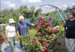 В Дубьязском сельском поселении проходит конкурс «Ветеранское подворье»