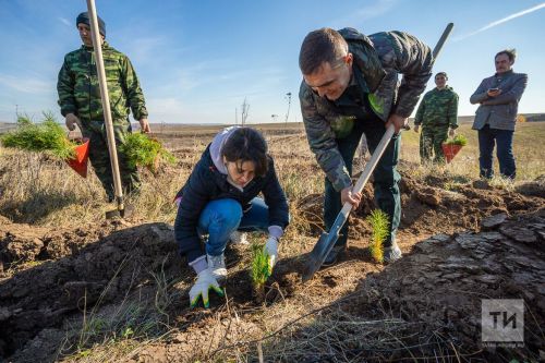 В Высокогорском районе в пятый раз пройдет акция «Сохраним лес»