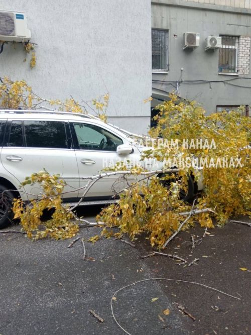 В Казани из-за сильного ветра деревья падают на машины и слетают крыши