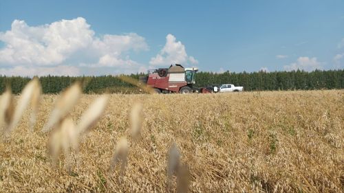 В Татарстане близятся к завершению полевые работы