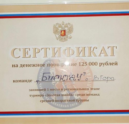 Высокогорские хоккеисты победили в турнире «Золотая шайба»