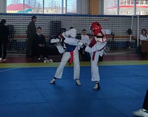 Высокогорские спортсмены вернулись с первенства с медалями
