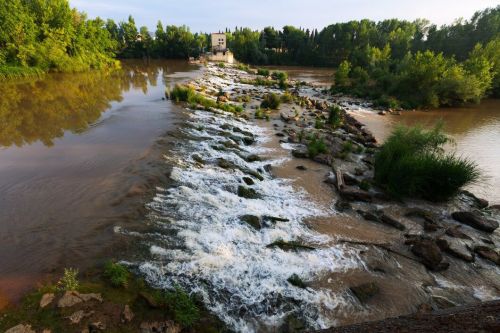 Из-за спиленных деревьев в Константиновке может пропасть река Вертеловка