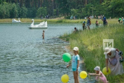 В этом году добровольцы расчистят реку Казанку от завалов деревьев
