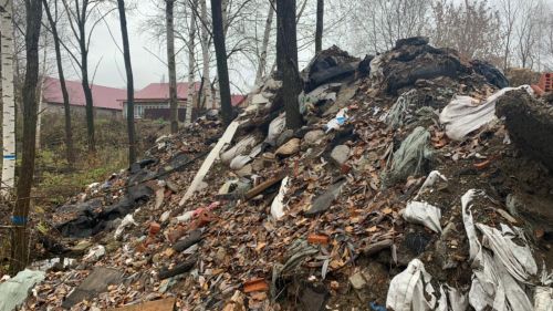Суд обязал нарушителя выплатить более 6 млн рублей за ущерб, причинённый природе