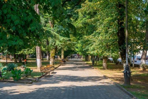 В РТ стартовало голосование по выбору объектов благоустройства в 2024 году