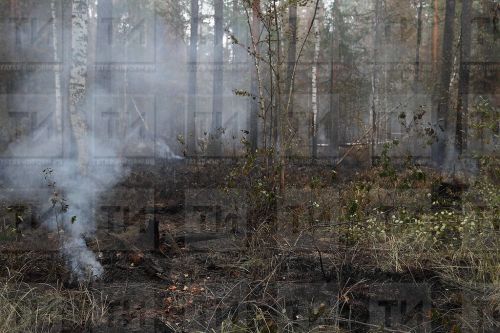 В Высокогорском районе за апрель произошло 13 случаев возгорания сухостоя