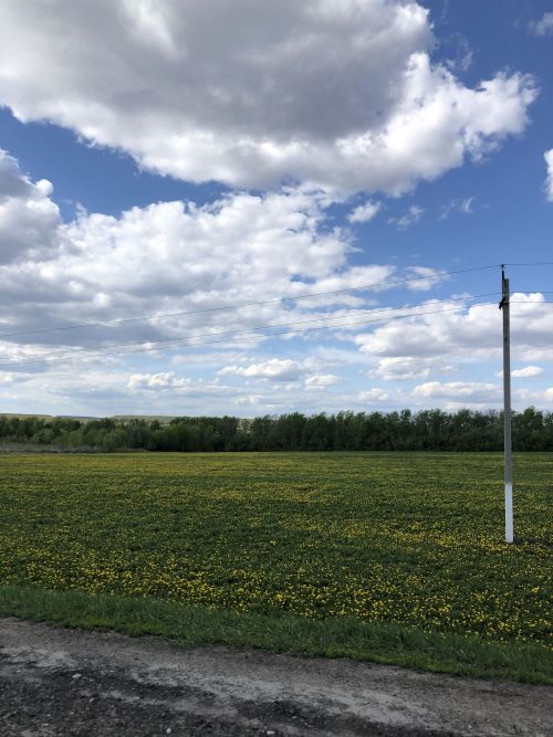 В Высокогорском районе сохранится жаркая погода