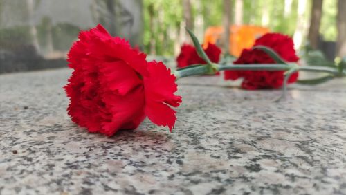 Ветераны пограничных войск собрались в Парке Победы