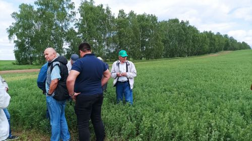 В Высокогорском районе идёт приёмка посевов