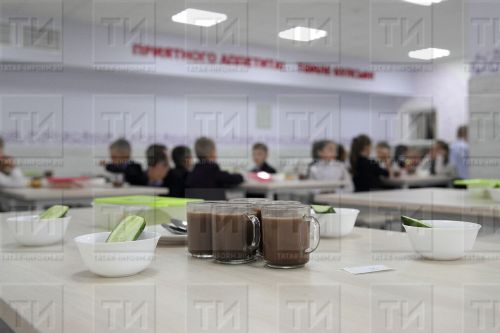 Родители казанских школьников требуют добавить в рацион больше овощей и молочки