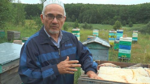 В районе стартовала перепись пчелосемей