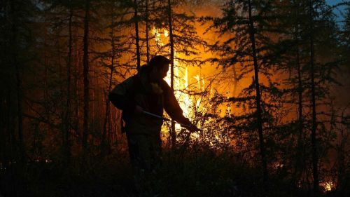 В России за сутки потушили 64 природных пожара