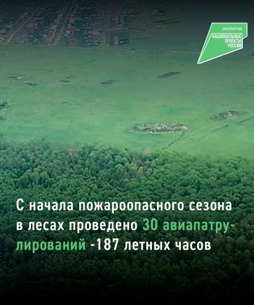 В Татарстане идет авиапатрулирование лесов