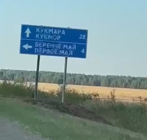 Медведь устроил забег по полям Татарстана