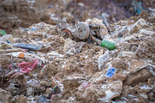В Казани предложили перейти на раздельный сбор отходов