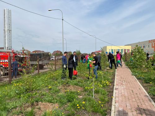 В Минобразования РТ рассказали, к какому труду будут привлекать школьников
