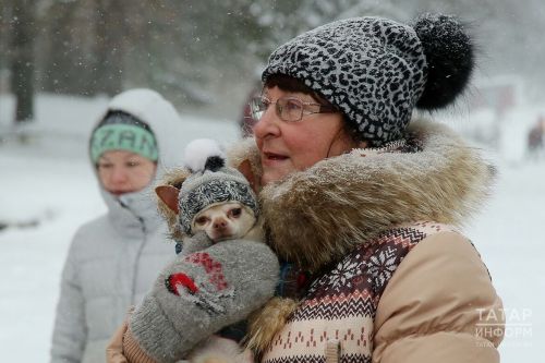 Небольшое потепление ожидает высокогорцев в понедельник
