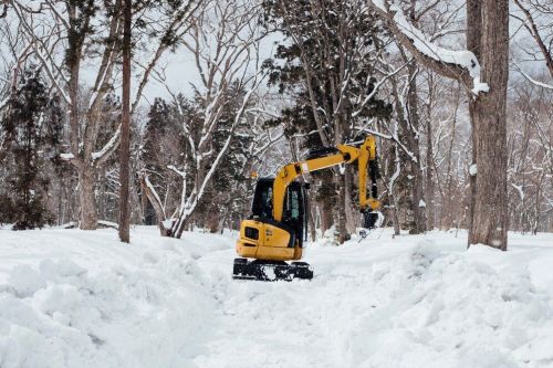 Установлен новый рекорд по вывозу снега, превзойдя аномальный сезон 2010-2011
