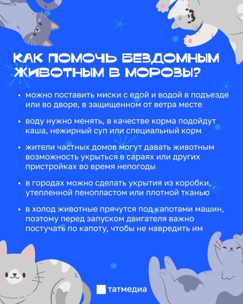 Холода уже близко
