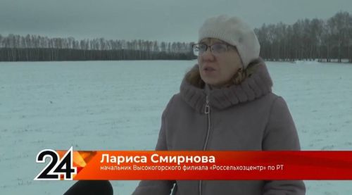 «Ушли в хорошем состоянии»: специалисты об озимых Высокогорского района
