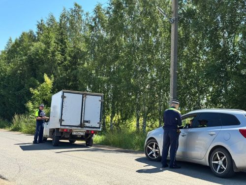 В поселке Инеш прошел рейд в рамках акции «Ремень безопасности»