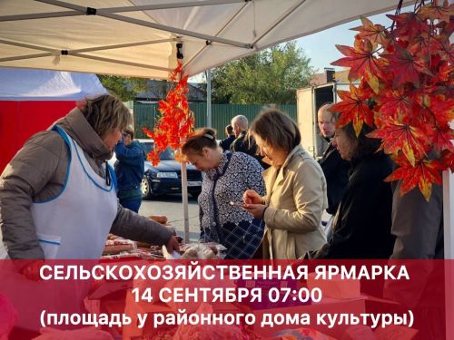 Сельскохозяйственная ярмарка в Высокогорском районе