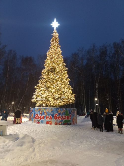 В Высокогорском районе прошёл новогодний праздник для детей